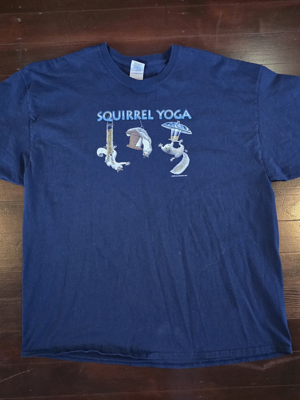 2009 Grandfather Mountain Squirrel Yoga Graphic T-Shirt Gildan Navy Blue